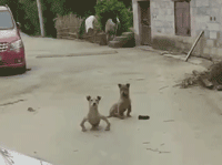 |搞笑GIF趣图妹子,你真是太调皮了!