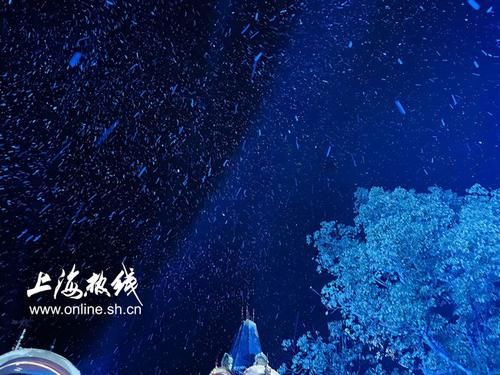 欢喜|注意！上海下“雪”了！只有上海人才懂的欢喜，一不小心就白头！