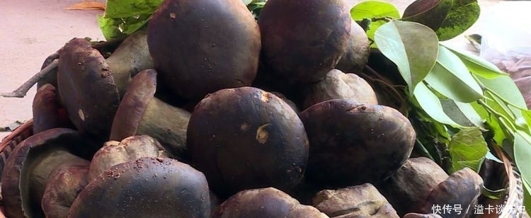 食物|很有营养的3种食物,美容养生、滋补身体,