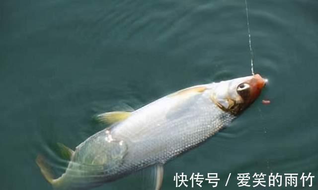 技巧|垂钓的9大技巧，轻松钓大鱼
