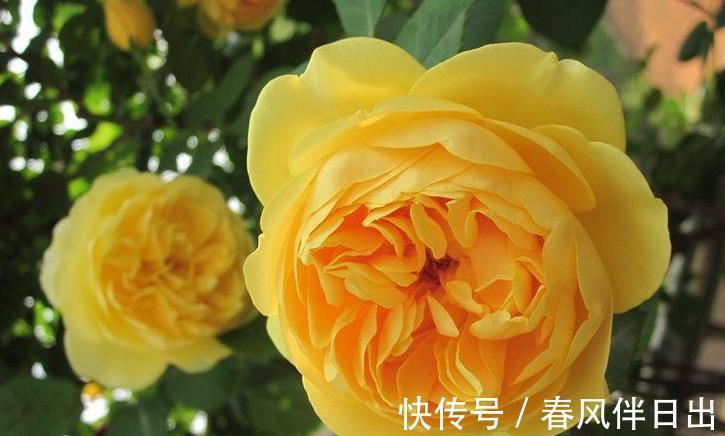 19年11月11日阴历 19年11月11日阴历