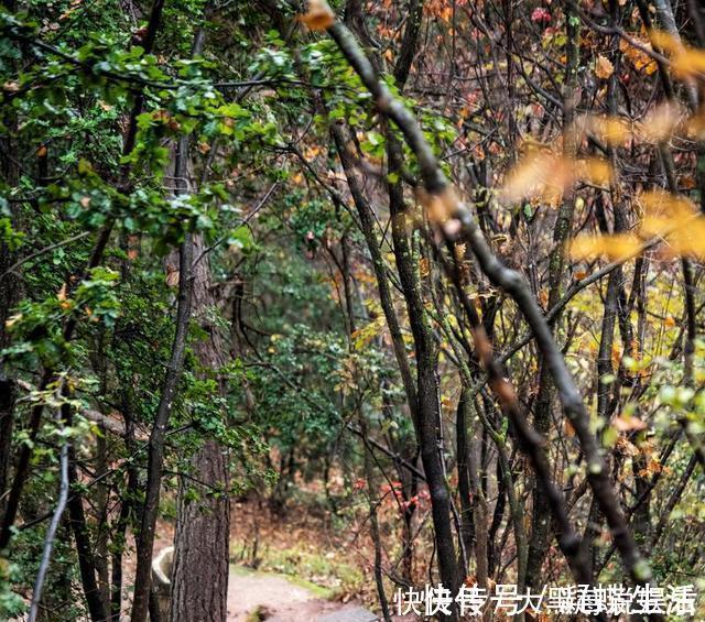 历朝历代|西北最值得去的景区，是“沙漠中的绿洲”，古代修仙的人都住在这