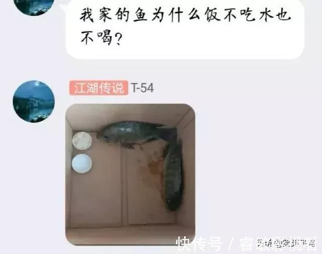 |搞笑段子：老公出差要半个月才回来，我用小号加了他，故意试探他