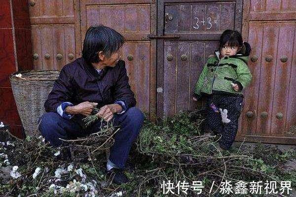 老人|“姥姥,我想吃樱桃”,面对85元一斤的价格,老人的做法堪称典范