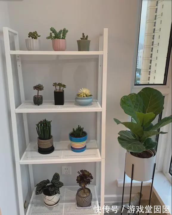 北欧风|老婆坚持全屋不做吊顶,完工效果敞亮有档次,还省了2万块,晒晒