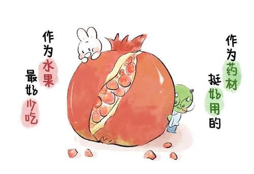 医宗金鉴|这个水果能入药,但不能多吃,会伤齿损肺,痰多的更是不要碰