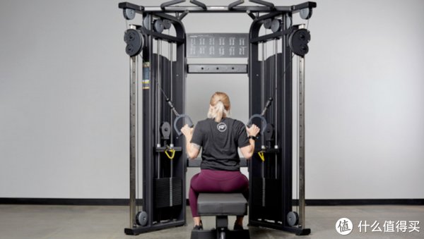 飞鸟|秋季健身滑轮系统飞鸟高低拉浅谈篇一