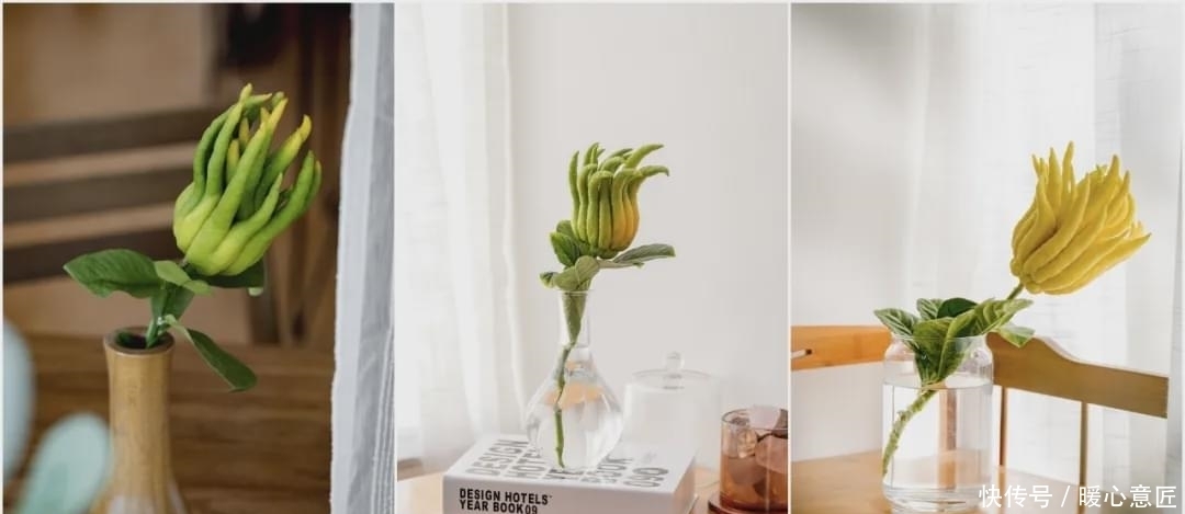 搞定|秋季多咳就吃它!一切一泡就搞定,全家都爱