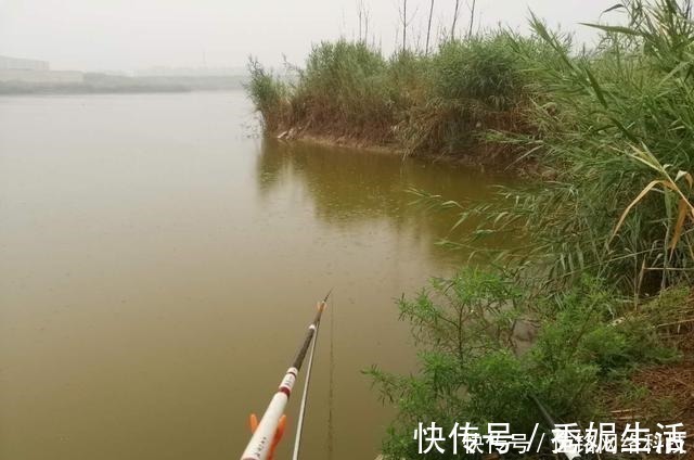 钓鱼警惕渔具“拾荒者”,小心再给你来个顺手牵羊!