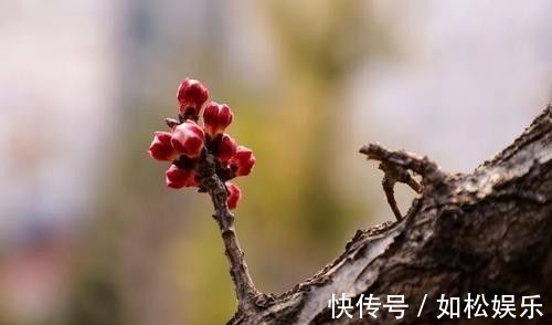 庄子&中国经典百句名言及译文,来看看有多经典,有你不知道的吗?