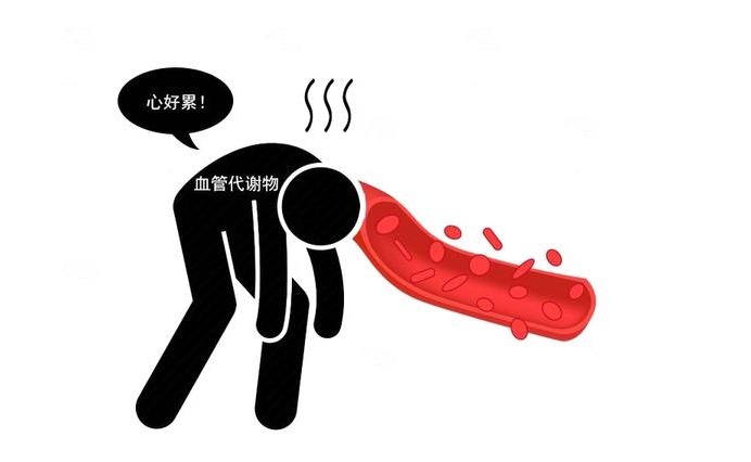 检查|筛查癌症究竟要做哪些项目?医生告诫,5个检查是防癌第一步