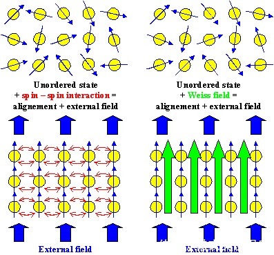 磁性 把人放进强磁场中会怎样？科学家用青蛙做实验，得到一只反重力蛙