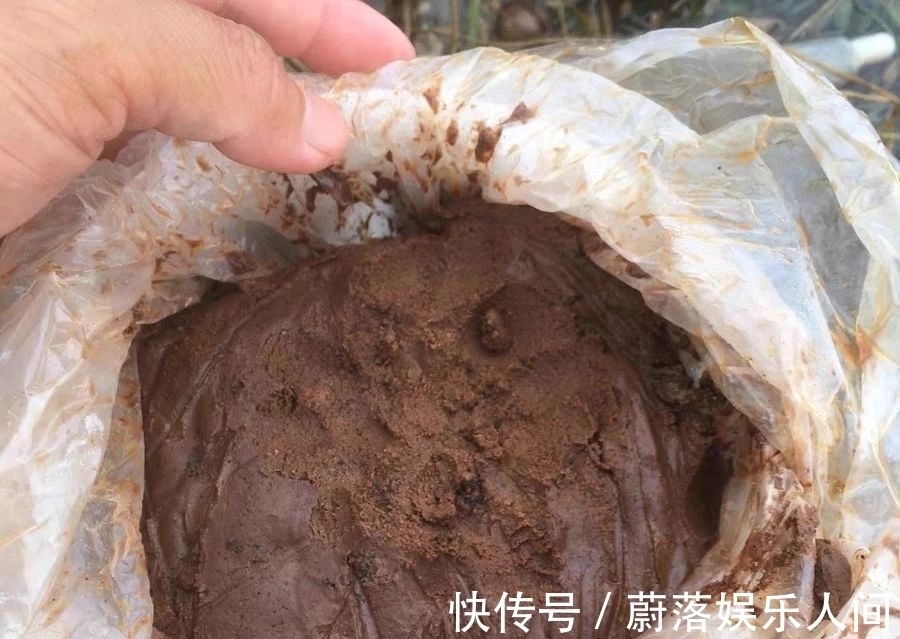 钓鲢鳙这样配饵效果好极了,记住2种佐料不能少,能锦上添花