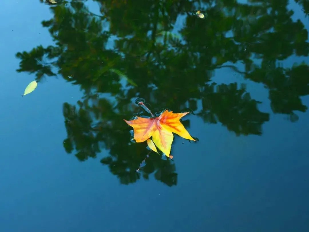 王维！诗词丨十月，愿时光放慢，许故人不散