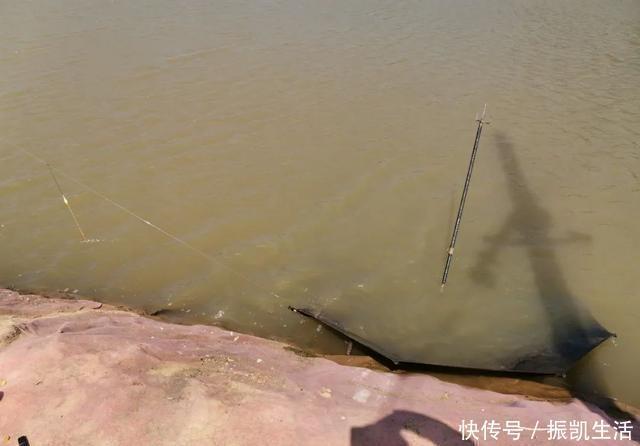 野钓|理想中的钓鱼VS现实中的钓鱼,新手看懵圈,老手看得扎心