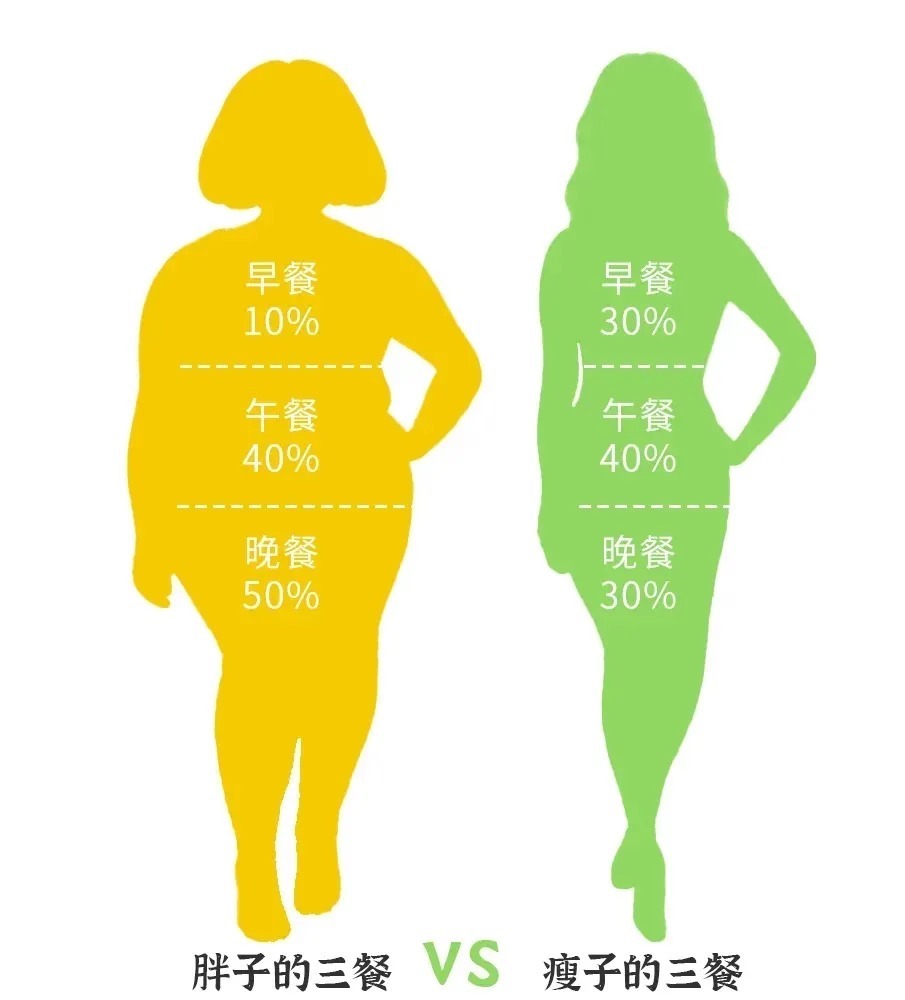膳食纤维|鑫景健康：瘦下来的人都是这样吃早餐的，99%的人都收藏了