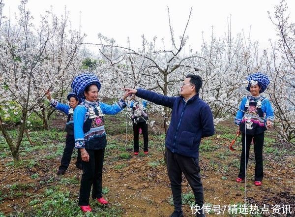 老年|镇宁县永和村：春有约，只“樱”有你