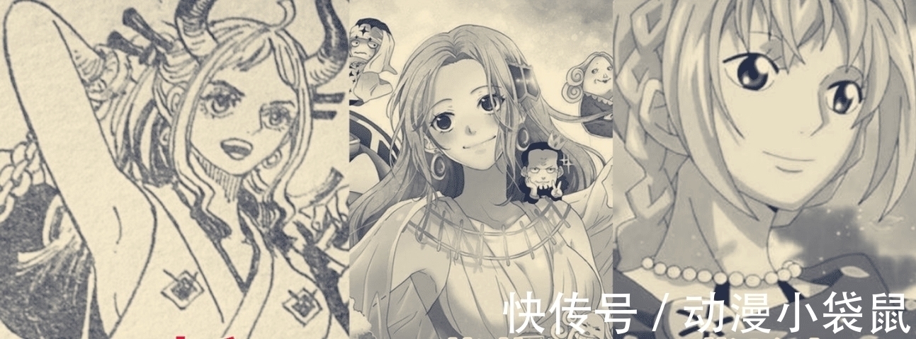 大和|海贼王984话:大和是女的,长得像薇薇和蕾贝卡,自称是光月御田