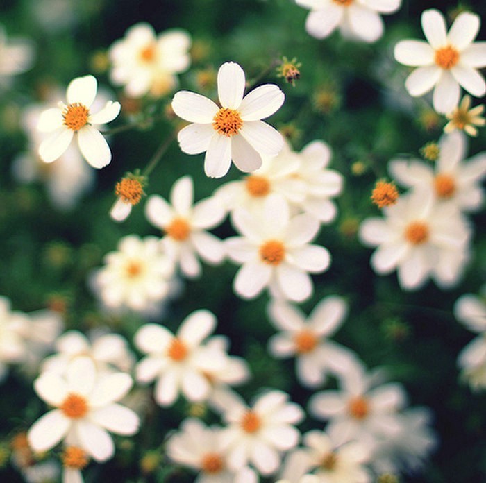 睿智!让人受用一生的句子,深刻睿智,受益匪浅