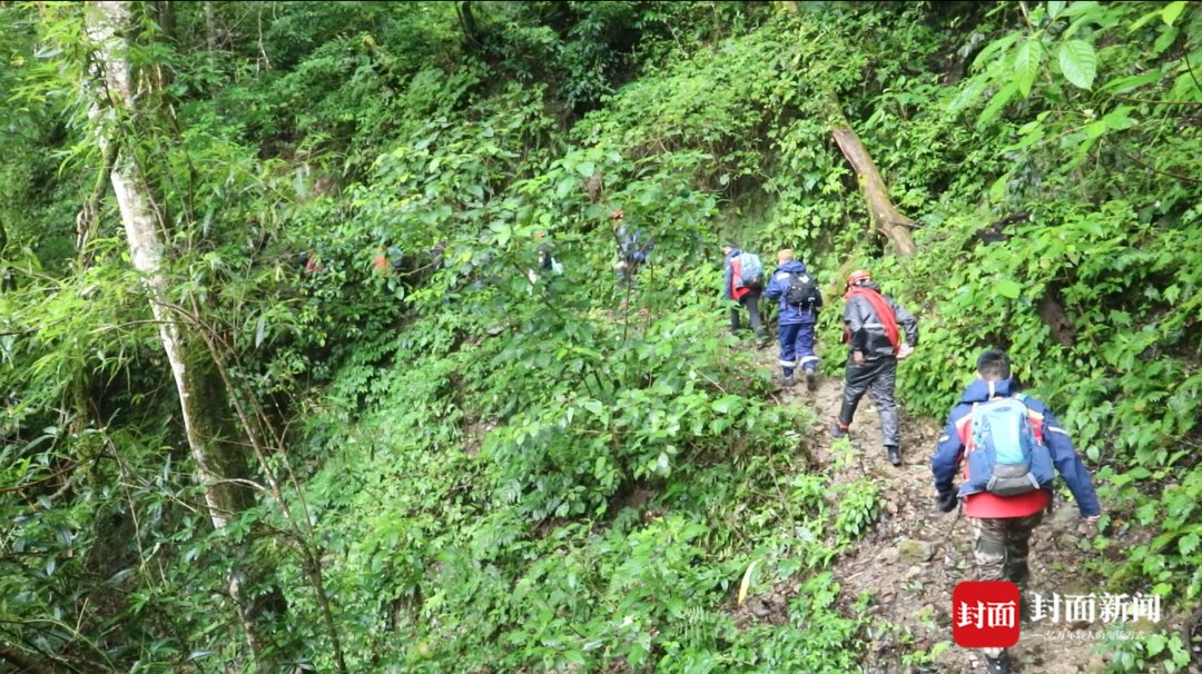 哀牢山|云南哀牢山遇难者遗体转运出山：当晚下了冰雹，救援队有人累倒山上