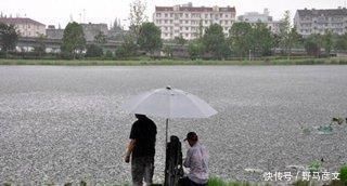 钓鲤鱼的最关键的2点，你知道吗老钓友为你解答