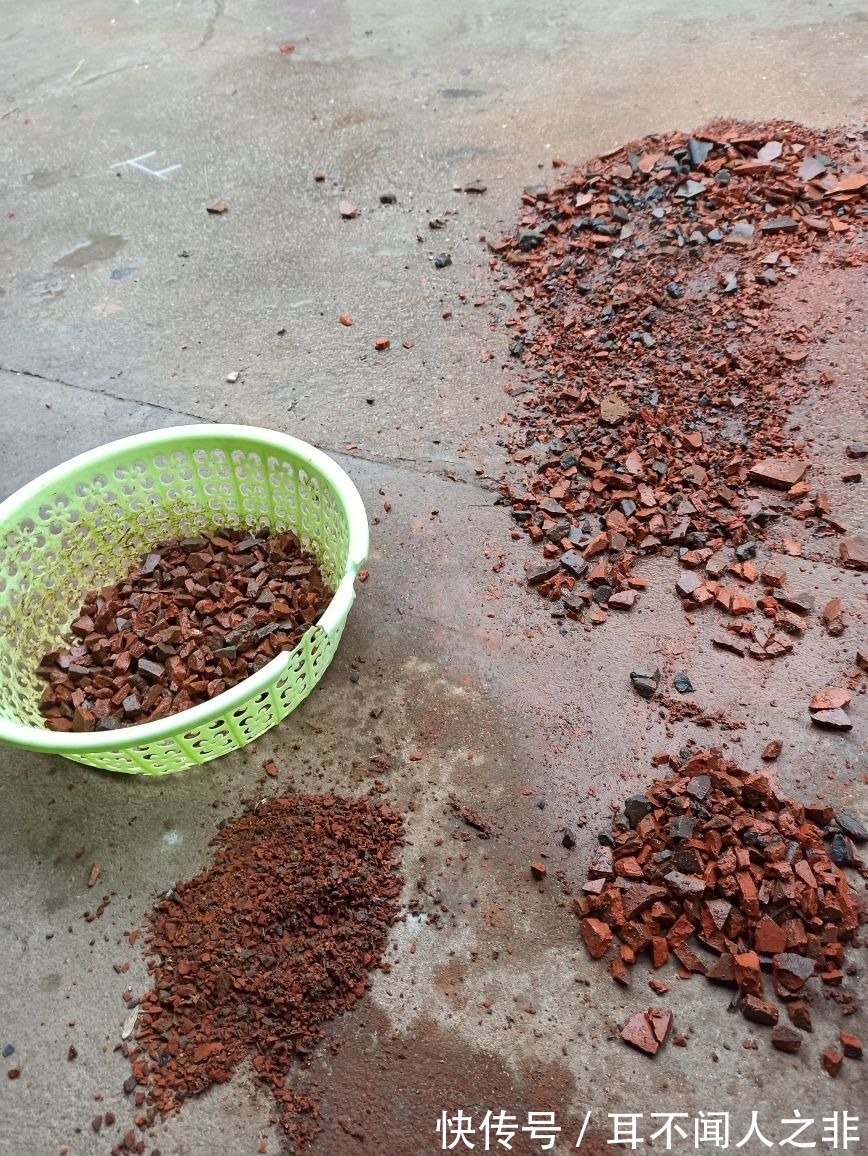 花盆里垫点小东西，大大增加透气性，养花不烂根！