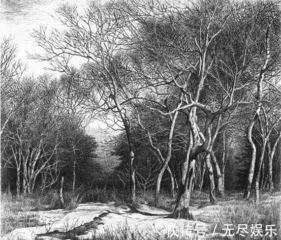 圆珠笔$极品六大钢笔画,我是一张张跪着看完的,简直美爆