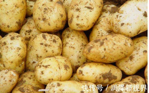 食物|秋天来了,多吃以下的食物,延缓衰老,美容养颜,身体棒棒哒