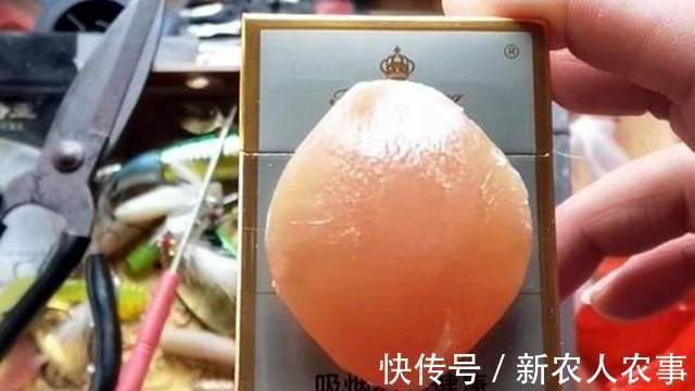 安徽男子一不小心实现大鱼梦，去鳞用锄头鱼石烟盒大，网友：放生