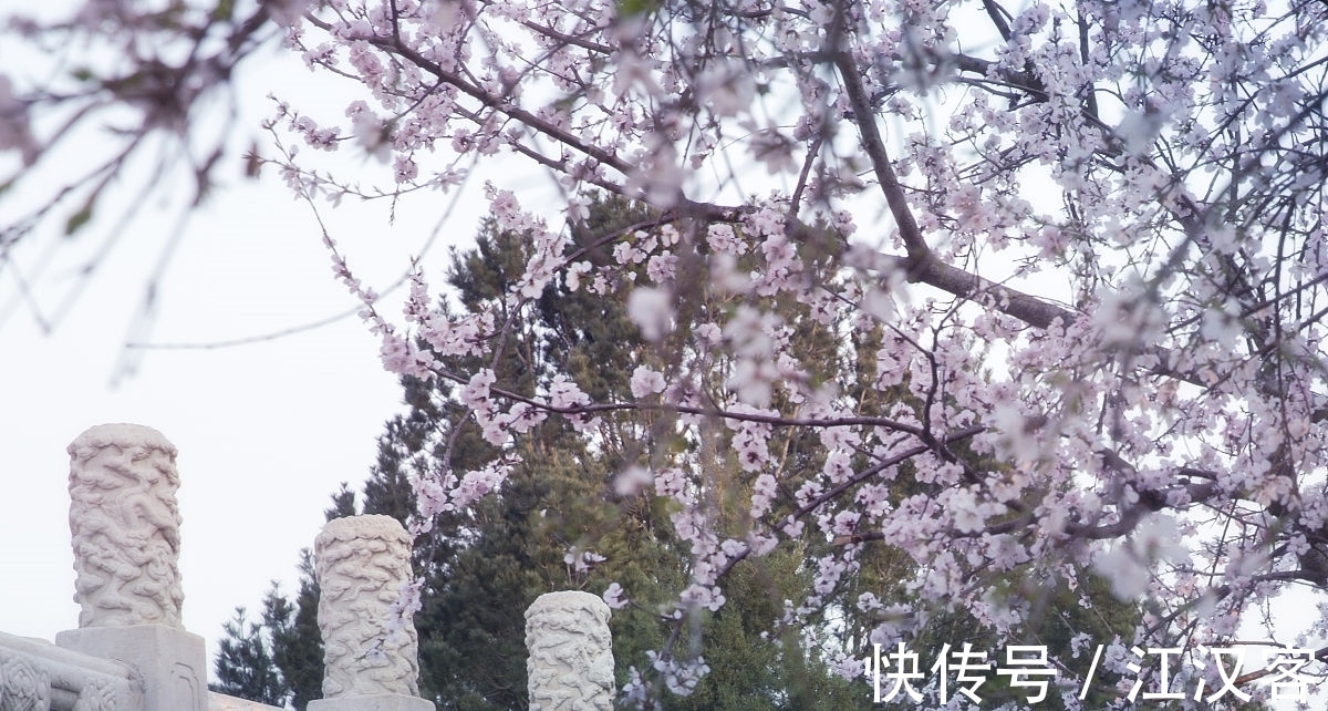 王维|九首情谊古诗词:青山空向一帆远,汀州落日五湖春