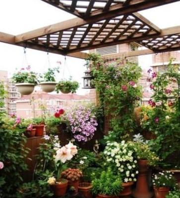 5种有毒的花卉盆栽，如果家中养了，赶快处理，不要掉以轻心