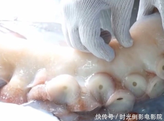日本厨师料理“巨型”八爪鱼,刀工精湛没得说了,心疼八爪鱼一秒