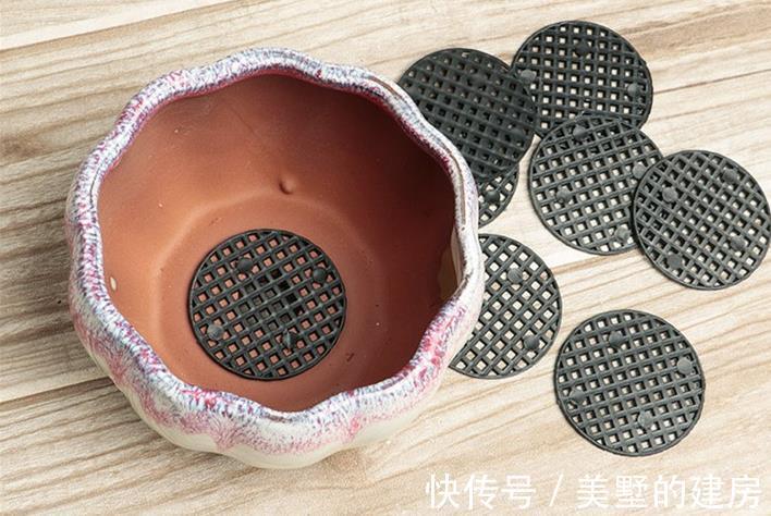 花盆|养花不花钱，花盆放4种“小垃圾”，不怕积水，不再烂根