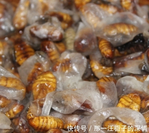 不管抽不抽烟，男人一旦上年纪，要常吃这类食物，腰腿有劲不显老