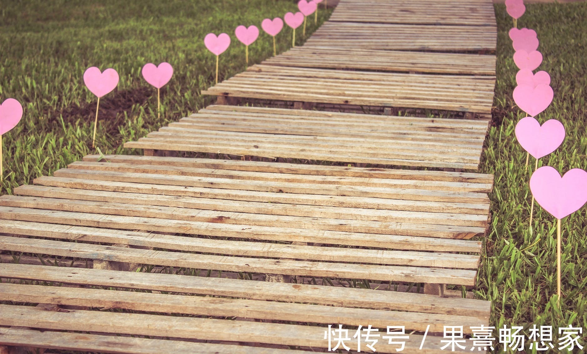 母亲|“我们只有五万块了,你还想做什么”“给我买套房”