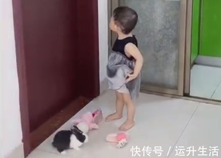 小宝|妹妹总打扰哥哥写作业,谁曾想连人带兔一起被撵出,网友:太难了