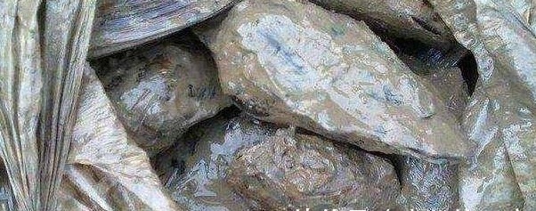 农民钓不到鱼一气之下竟然把池塘水抽干，挖出的东西让渔民笑翻了