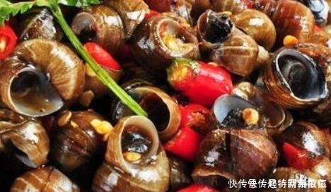 想让田螺沙吐净,只放盐是不行的,多加一勺“它”,田螺狂吐沙