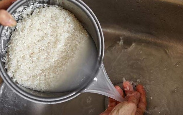 王大爷养君子兰,1年只用2种肥料,叶子翠绿开花多