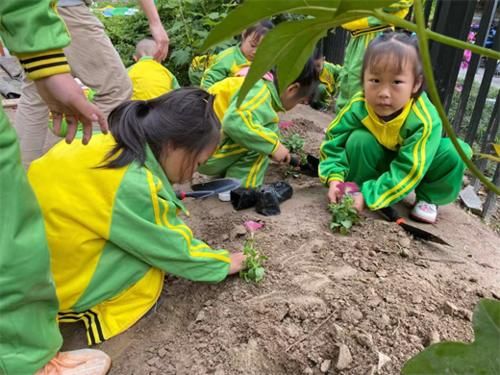 小手握住锄头、铲子和水桶…… 幼儿园小朋友成为爱护环境“小卫士”