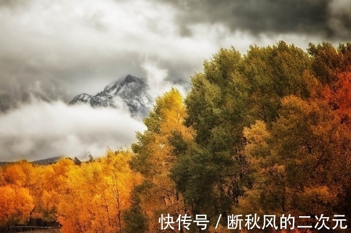 |柠檬的有趣幽默笑话集锦(七十五)