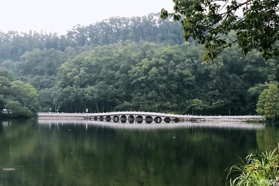 仙湖|仙湖之游记