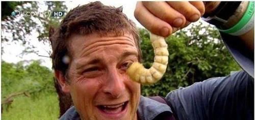 史上最牛探險(xiǎn)家,比貝爺還猛,用糞便做刀,從10米冰層下逃出生天