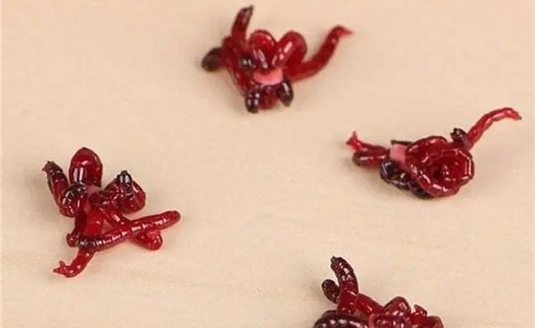 冬天钓鱼需要注意的4个基本技巧,爆护就在这些细节里!