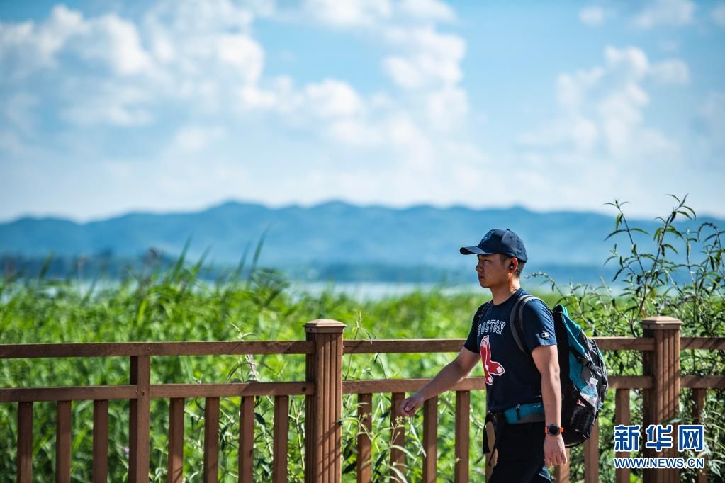 毕节市|夏日草海景如画