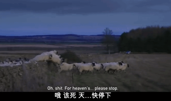 養(yǎng)羊|9.6分,這節(jié)目可把大明星虐爽了