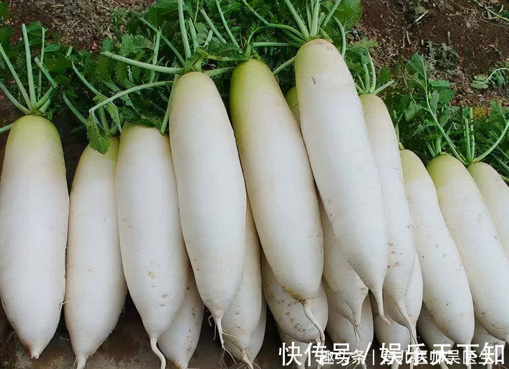 余热|秋天女性都想年轻，不妨吃的食物，祛除体内余热，祛热解毒，美容