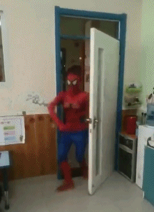 |搞笑GIF:别装了 我知道你就是故意的