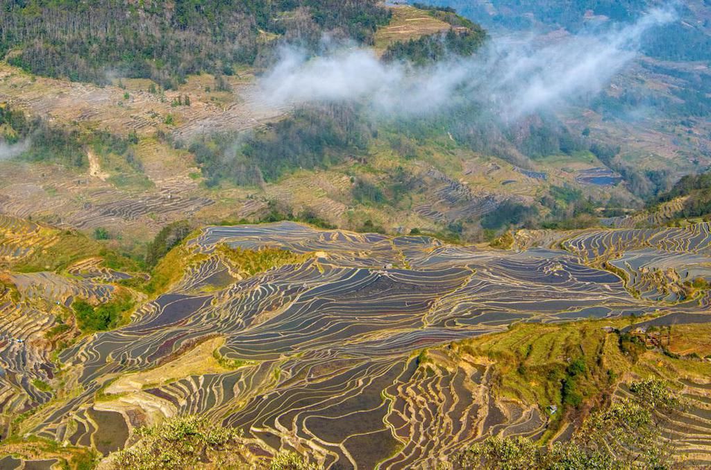 壮美元阳梯田，哈尼族人的大地艺术杰作