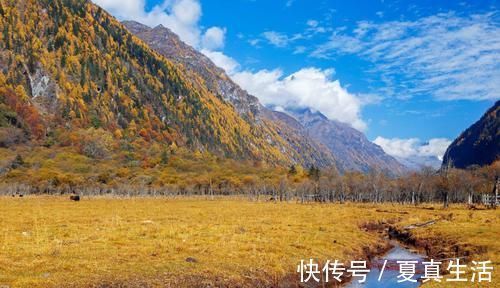 川藏北线|绝美四姑娘山，开启你的川地第一座雪山之旅